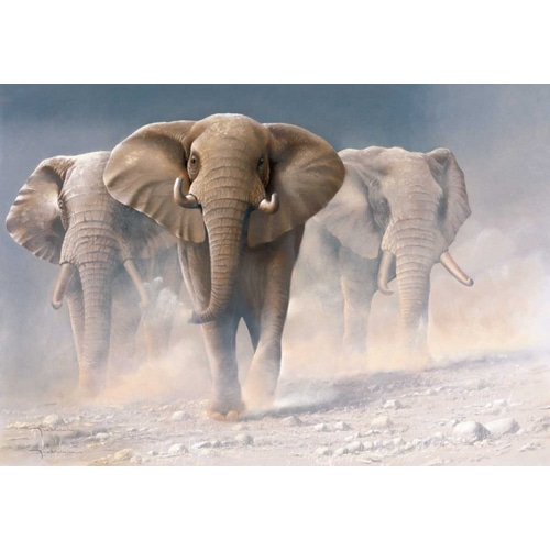 Running elephants I