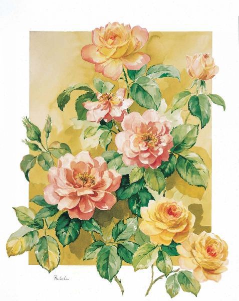Charming roses