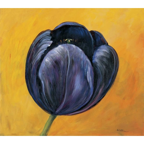 Purple tulip I