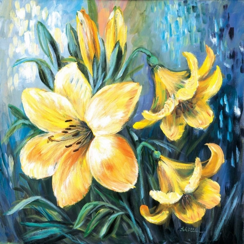 Yellow lilies in Spring