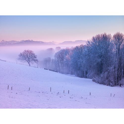 Winter landsacpe in Switzerland