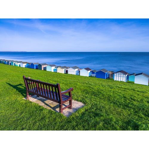 Frank, Assaf 아티스트의 Bench on lawn with beach huts in background 작품