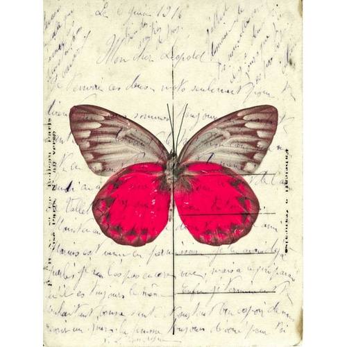 Handwritten old postcard with butterfly