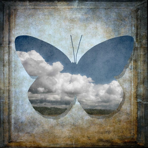 Colorful Butterfly with Vintage effects