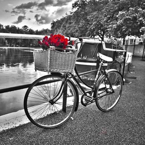 Bicycles with flowers