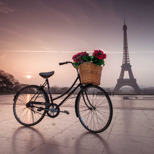 A bicycle with a basket of flowers with the Eiffel tower in the background