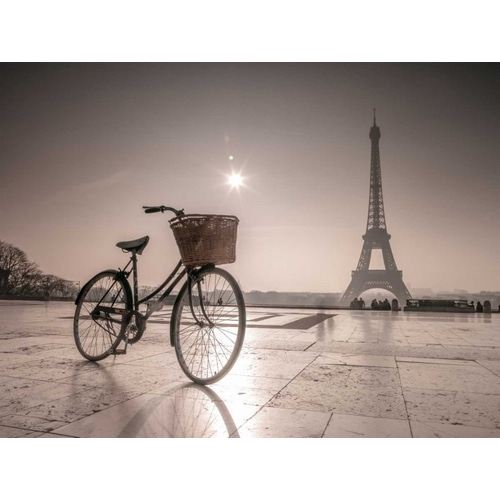 Bicycle in front of Eiffel tower, Paris, France