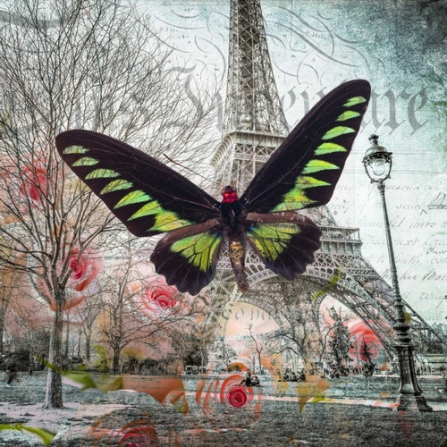 Eiffel tower with butterfly and roses overlay
