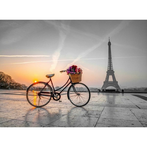 Bicycle with a basket of flowers next to the Eiffel tower, Paris, France