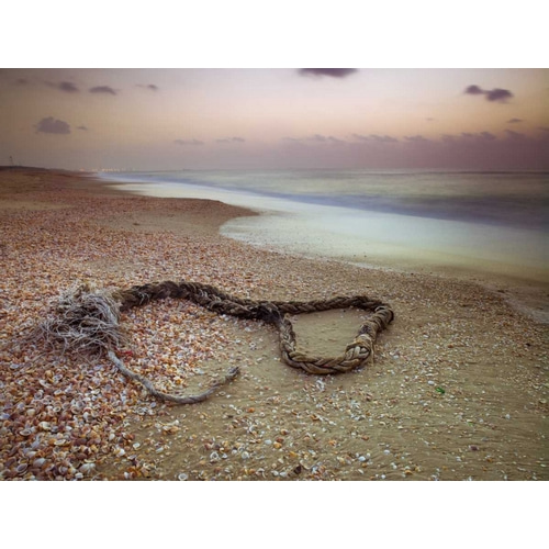 Rope lying on beach