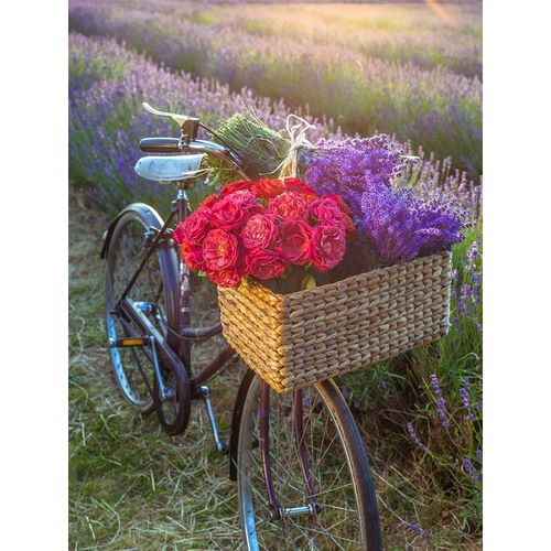 Basket of flowers on a bicycle
