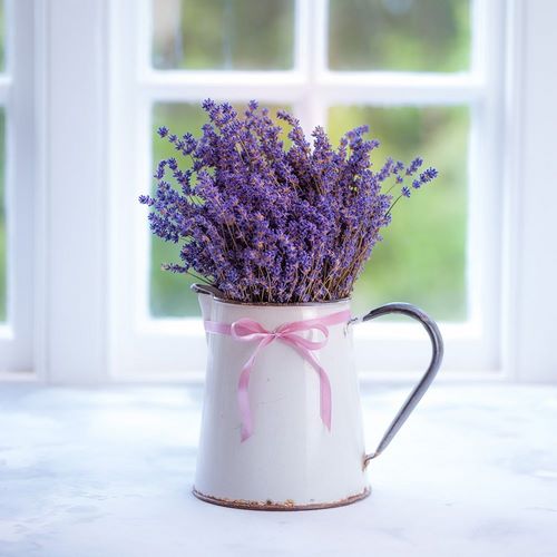 Bunch of lavender in antique jug by the window - Indoors