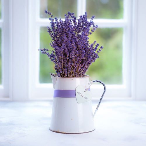 Bunch of lavender in antique jug by the window - Indoors