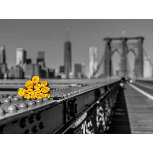 Bunch of roses on Brooklyn Bridge, New York
