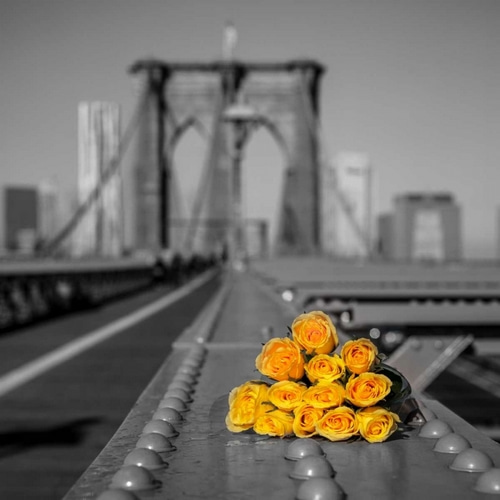 Bunch of roses on Brooklyn Bridge, New York