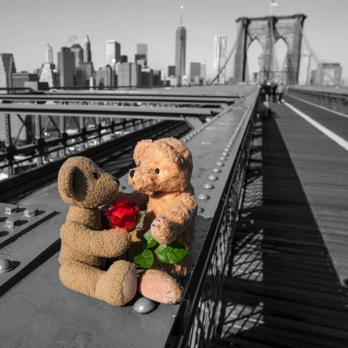 Pair of teddy bears with a red rose on Brooklyn Bridge, New York