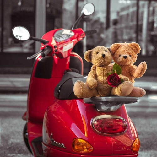 Teddy bears with red rose on a scooter, New York