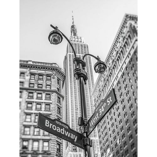 Frank, Assaf 아티스트의 Street lamp and street signs with Empire State building in background - New York 작품