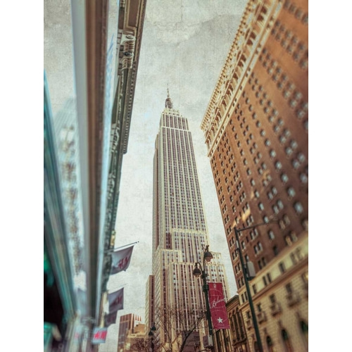 Low angle shot of a Empire State building - New York