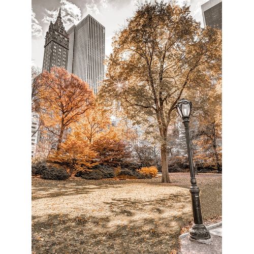 Central park in autumn-Manhattan-New York