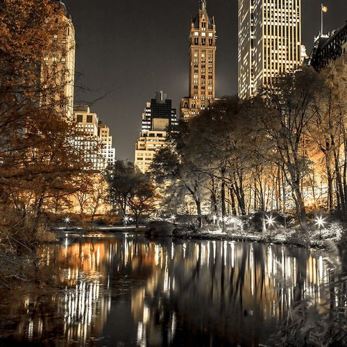 Frank, Assaf 아티스트의 Evening view of Central Park in New York City 작품