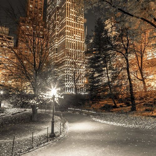 Frank, Assaf 아티스트의 Evening view of Central Park in New York City 작품