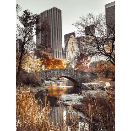 Gapstow bridge in autumn, Central Park, New York city, FTBR-1802