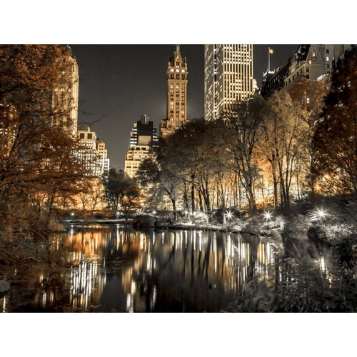 Evening view of Central Park in New York City, FTBR-1803