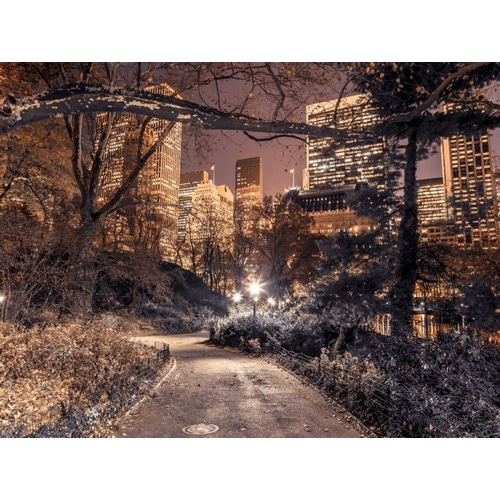 Evening view of Central Park in New York City