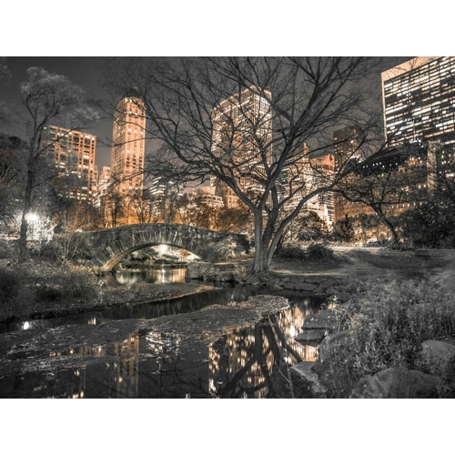 Evening view of Central Park in New York City