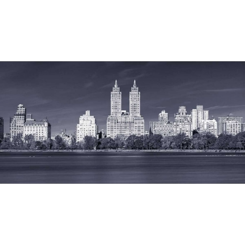 Central park and Manhattan skyline - New York city