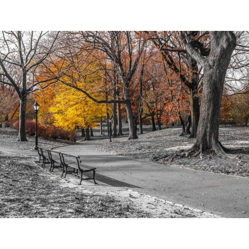 Pathway through Central Park, New York