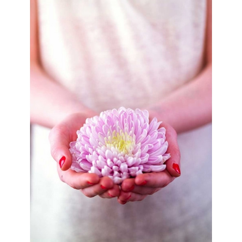 Female hands holding a flower