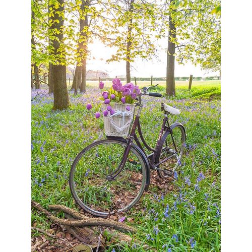 Bicycle in spring forest with bunch of flowers