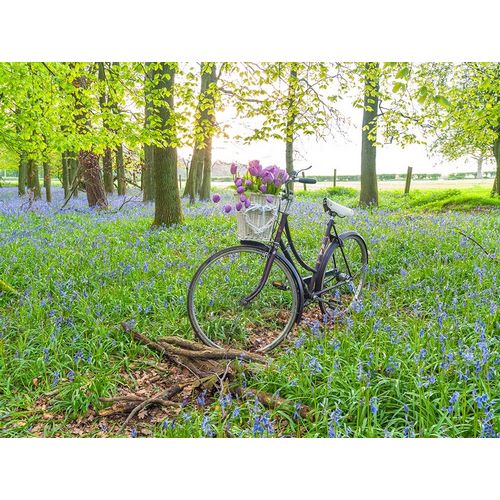 Bicycle in spring forest with bunch of flowers
