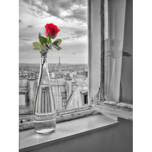 Flower vase on window with Eiffle tower in background, Paris