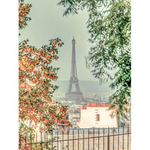 View of the Eiffel tower from Monmartre-Paris