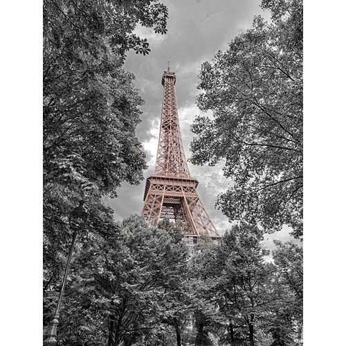 Eiffel Tower through trees