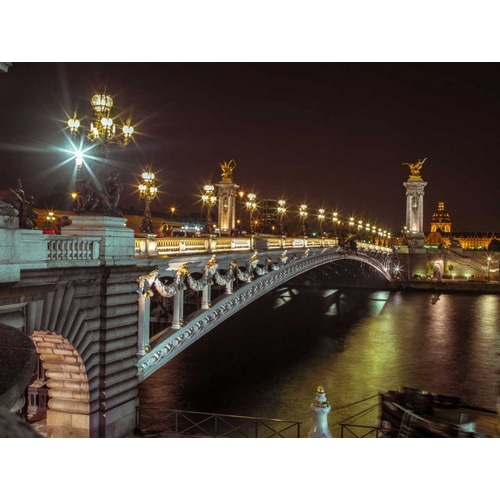 Pont Alexandre III bridge over River Seine, Paris, France