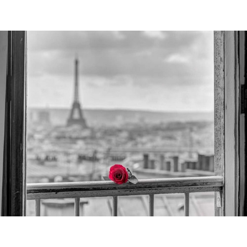 Rose on balcony railing with Eiffel Tower in background, Paris, France