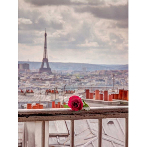 Rose on balcony railing with Eiffel Tower in background, Paris, France