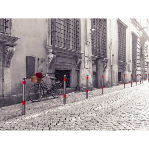 Bunch of roses on bicycle on old city street of Rome