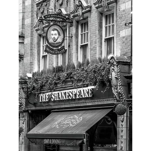 Frank, Assaf 아티스트의 The Shakespeare Inn hotel in Birmingham-UK 작품