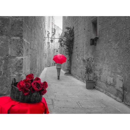 Tourist with umbrella walking through narrow lanes of Mdina with red roses in front, Malta