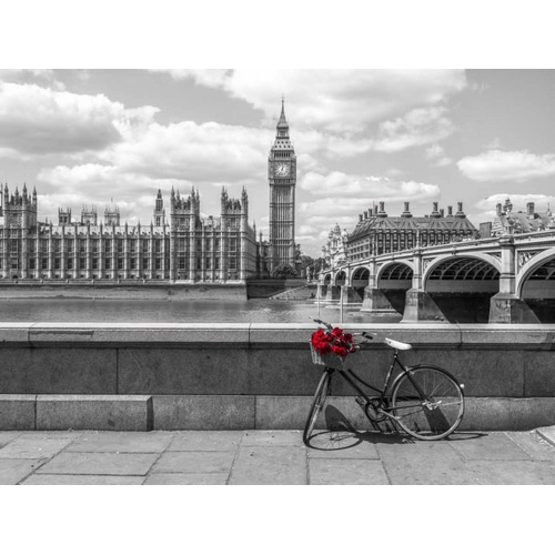 Bunch of Roses on a bicycle agaisnt Westminster Abby, London, UK