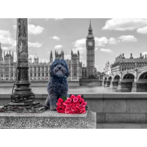 Dog by a lampost with bunch of Roses, London, UK