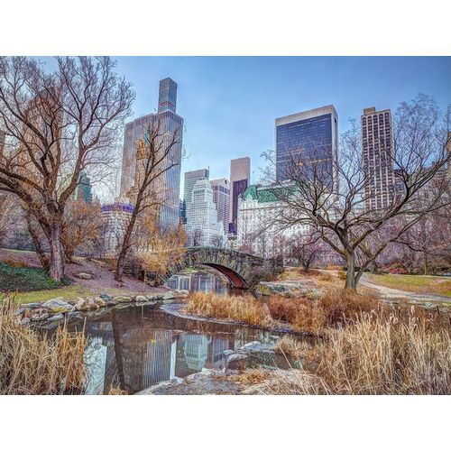 Frank, Assaf 아티스트의 Central park with Manhattan skyline-New York 작품