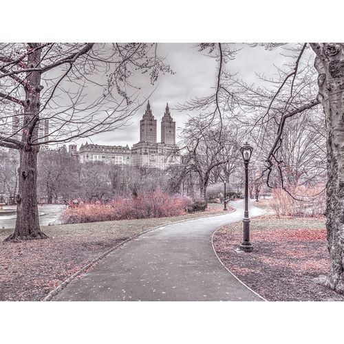 Frank, Assaf 아티스트의 Pathway through Central park-New York 작품