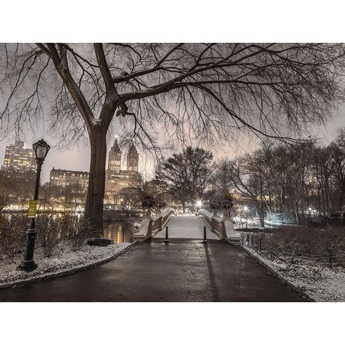 Frank, Assaf 아티스트의 Evening view of Central park-New York 작품