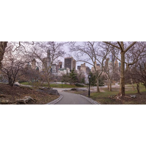 Pathway through Central park, New York